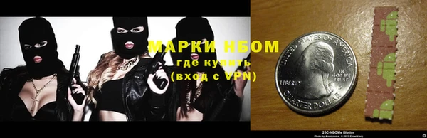 шишки Михайловск