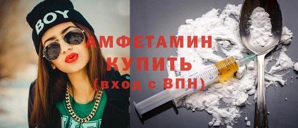 шишки Михайловск