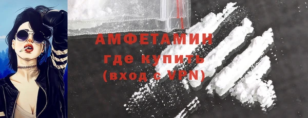 шишки Михайловск