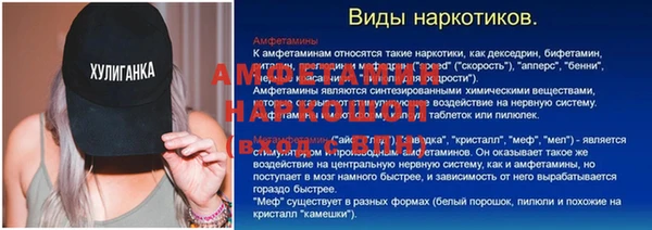шишки Михайловск