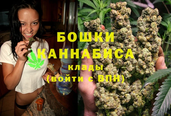 PSILOCYBIN Михайловка