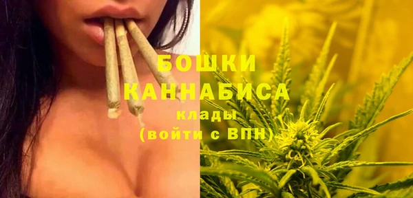 шишки Михайловск