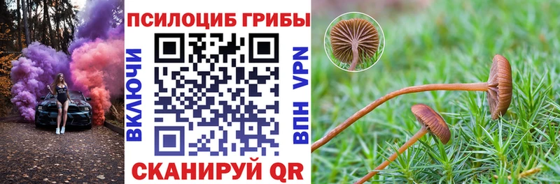 Псилоцибиновые грибы прущие грибы  Медвежьегорск 