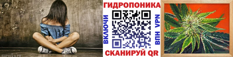 Конопля OG Kush закладки Медвежьегорск